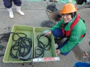 m{s̋`ɂĊC̎ctjɊ肢߂ig摜ւ̃Nj