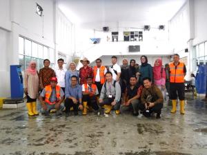 ChlVA̋sKi{lFO񒆉jig摜ւ̃Nj