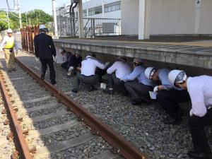 ʐ^1̌^C̗lqiz[ޔPjig摜ւ̃Nj